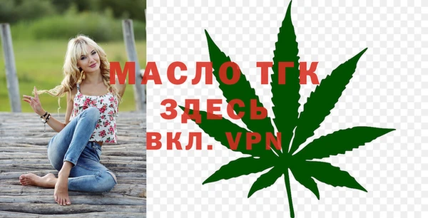 дмт Вяземский